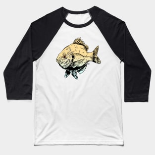 Lightly Colored Sunfish Baseball T-Shirt